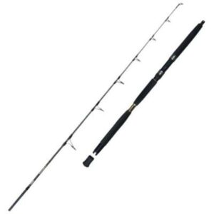 Okuma Eclipz 185Cm 50-100G