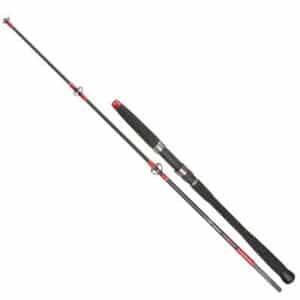 Mikado Cat Territory Troll&Spin 245 50-180G (2-teilig)