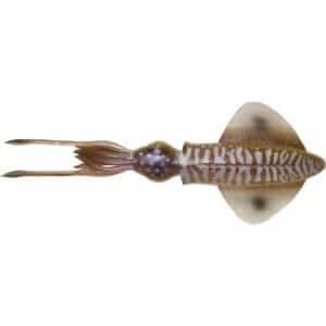 Savage Gear 3D Swim Squid 9.5cm 5G Cuttlefish 4Pcs