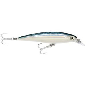 Rapala X-Rap Saltw. Sxr Bfh 10cm 1