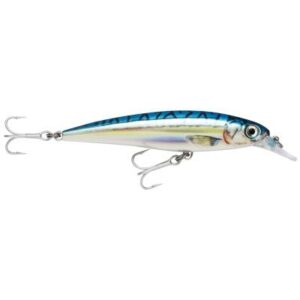 Rapala X-Rap Saltw. Sxr Bm 12cm 1