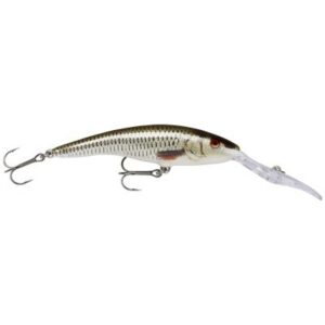 Rapala Deep Tail Dancer Rol 13cm 12m Schwimmend Live Roach