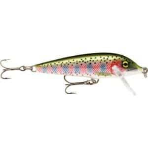 Rapala Countdown 11cm Rainbow Trout 2