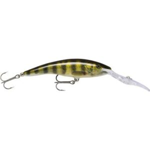 Rapala deep taildancer 09 Live perch