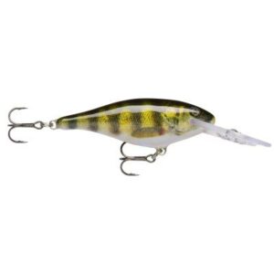 Rapala Shad Rap 09 Live Perch