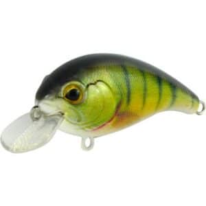 Seika Pro Osaka Perch 45mm