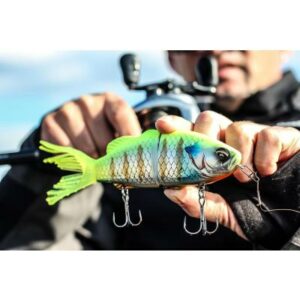 Shimano Bantam Bt Sraptor Chart Gill 18