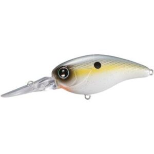 Shimano Bantam Kozak Mr Sexy Shad 5