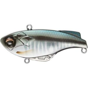 Shimano Bantam Rattlin Sur-Vibe Hasu 6