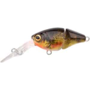 Spro Ikiru Naturals Double Crank 35 Perch 3