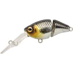 Spro Ikiru Nat. Double Crank 35 Pompano 3