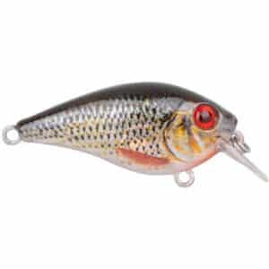 Spro Ikiru Naturals Crank 45 Roach 6g