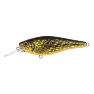 Spro Ikiru Shad Pike 7