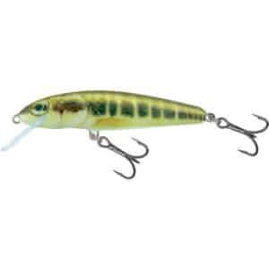 Salmo Minnow Floating 7cm 6G Minnow 1/1