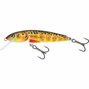 Salmo Minnow Floating 7cm 6G Trout 1/1