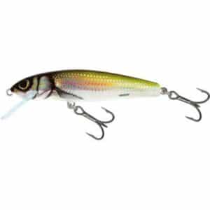 Salmo Minnow Sinking 7cm 8G Oz Holo Bleak 1