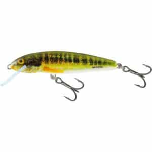 Salmo Minnow Floating 5cm 3G Holo Real Minnow 0