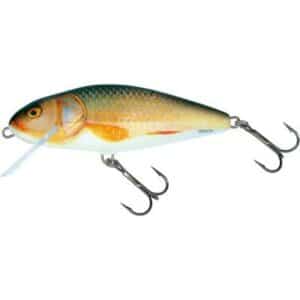 Salmo Perch Floating 8cm 12G Real Roach 0