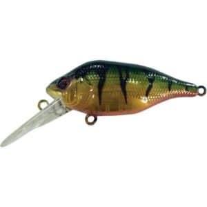 Fox Rage Funk Bug 40mm Sr Uv Original Perch