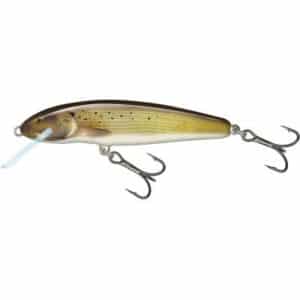 Salmo Minnow 5cm 5g 0