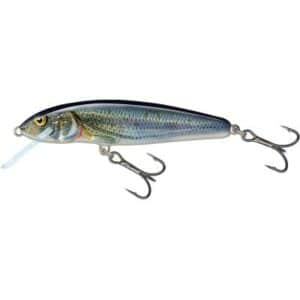 Salmo Minnow 7cm 6g 1-1