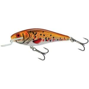 Salmo Executor 5 Shallow Runner Holographic Golden Back