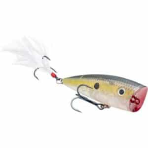 Strike King Kvd Splash Clear Ghost Sexy Shad 7cm 10.6G