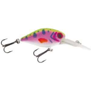 Jackson Forellenwobbler 4.0 Rainbow Trout