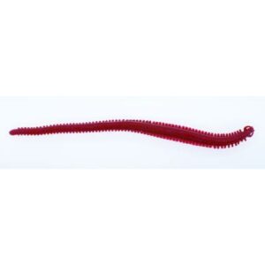 Berkley Gulp! Alive! Sandworm Bloody 15cm