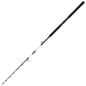 Shimano Rod Vengeance standup spiral 1